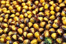 栗子怎么去殼？栗子怎么去皮？