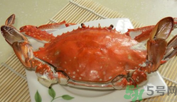 河蟹和海蟹有什么區(qū)別？河蟹和海蟹哪個好吃？