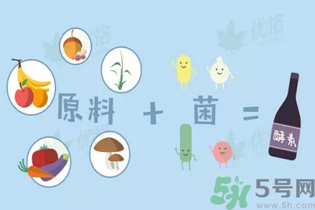 酵素什么時候吃最減肥？酵素減肥有用嗎？