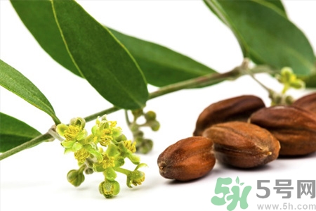 荷荷巴油可以直接擦臉嗎？荷荷巴油怎么去黑頭？