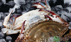 梭子蟹怎么挑選？梭子蟹挑選圖解