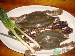 梭子蟹怎么挑選？梭子蟹挑選圖解