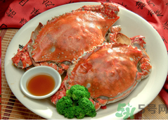 梭子蟹能冷凍嗎？梭子蟹如何冷凍保存？