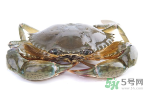 梭子蟹能冷凍嗎？梭子蟹如何冷凍保存？