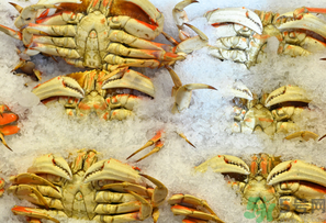 冷凍的梭子蟹能吃嗎？冷凍的梭子蟹怎么吃比較好？