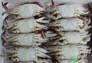 冷凍的梭子蟹能吃嗎？冷凍的梭子蟹怎么吃比較好？