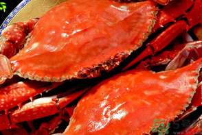 梭子蟹是發(fā)物嗎？梭子蟹是不是發(fā)物？