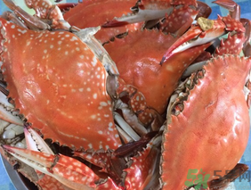 梭子蟹是發(fā)物嗎？梭子蟹是不是發(fā)物？