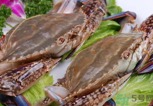 梭子蟹是發(fā)物嗎？梭子蟹是不是發(fā)物？