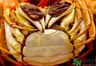 河蟹死了一天能吃嗎？河蟹死了多久不能吃？