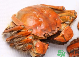 河蟹死了一天能吃嗎？河蟹死了多久不能吃？