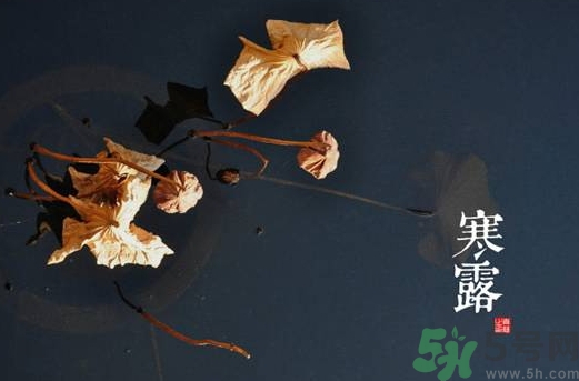 寒露是什么意思？寒露是幾月幾日