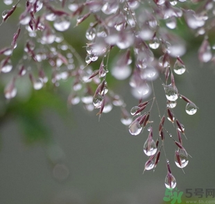 寒露穿什么衣服？寒露要注意什么？