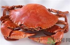 青蟹怎么保存不會死?三門青蟹怎么保存? 青蟹怎么保存不會死?三門青蟹怎么保存?