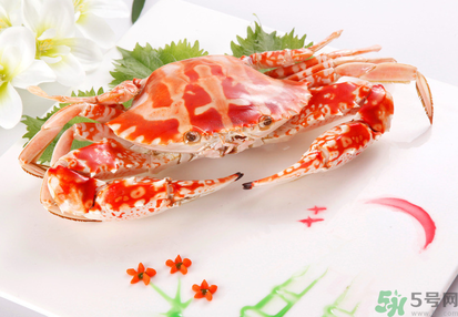 梭子蟹和花蟹的區(qū)別？梭子蟹和花蟹哪個好吃？