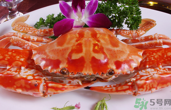 梭子蟹和花蟹的區(qū)別？梭子蟹和花蟹哪個好吃？