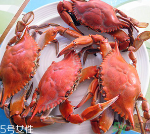 梭子蟹和飛蟹的區(qū)別？飛蟹是梭子蟹嗎？