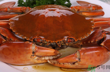 梭子蟹和青蟹哪個好吃？青蟹和梭子蟹的區(qū)別