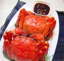 梭子蟹和大閘蟹的區(qū)別？梭子蟹和大閘蟹哪個(gè)好？