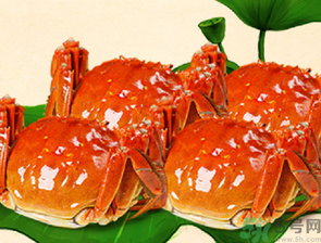 梭子蟹和大閘蟹的區(qū)別？梭子蟹和大閘蟹哪個(gè)好？