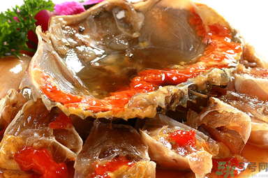 膏蟹是河蟹還是海蟹？膏蟹是什么蟹？