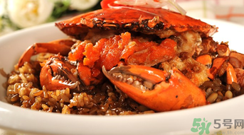 膏蟹是河蟹還是海蟹？膏蟹是什么蟹？