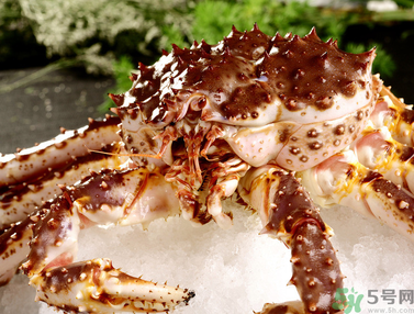 帝王蟹多少錢一斤？帝王蟹多少錢一只？