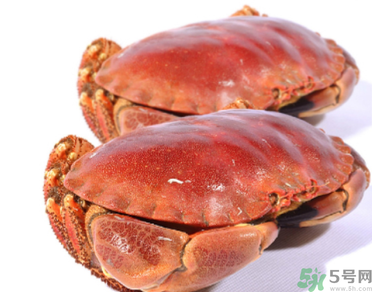 面包蟹多少錢一斤？面包蟹多少錢一只？