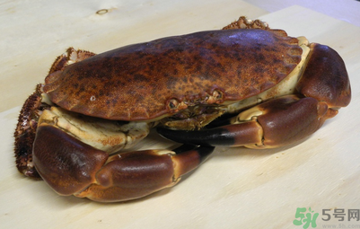 面包蟹多少錢一斤？面包蟹多少錢一只？