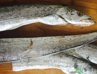 帶魚(yú)怎么去魚(yú)鱗?帶魚(yú)的魚(yú)鱗怎么刮圖解