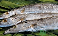 帶魚(yú)怎么去魚(yú)鱗?帶魚(yú)的魚(yú)鱗怎么刮圖解