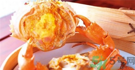 黃油蟹多少錢一斤?黃油蟹價(jià)格 黃油蟹多少錢一斤?黃油蟹價(jià)格