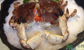 面包蟹怎么吃？面包蟹的吃法詳解