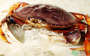 珍寶蟹多少錢一斤？珍寶蟹多少錢？