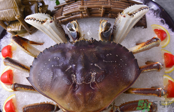 珍寶蟹多少錢一斤？珍寶蟹多少錢？