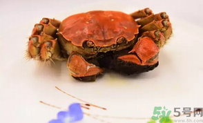 珍寶蟹和面包蟹的區(qū)別？珍寶蟹和面包蟹哪個(gè)好吃？