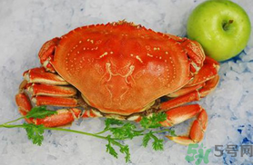 珍寶蟹和面包蟹的區(qū)別？珍寶蟹和面包蟹哪個(gè)好吃？