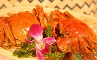 大閘蟹死了放冰箱還能吃嗎？大閘蟹速凍后還能吃嗎？