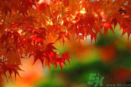 秋燥皮膚癢吃什么好？秋燥4妙招保護(hù)皮膚