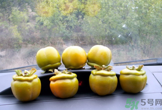 生柿子有毒嗎？生柿子吃了會怎樣？