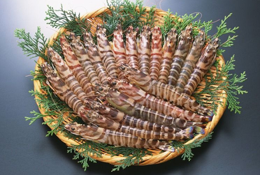 海蝦煮多長(zhǎng)時(shí)間熟？海蝦怎么煮？