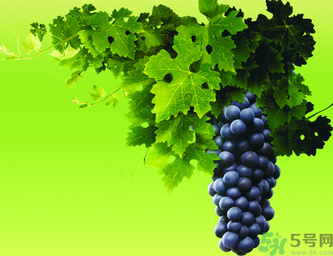 晚上吃葡萄好嗎？晚上吃葡萄好不好？