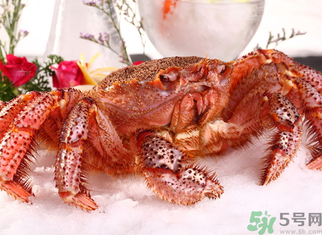 海蟹死了可以吃嗎？海蟹死了多久還能吃？