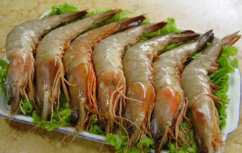 青蝦怎么做好吃？青蝦的做法大全