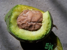 新鮮核桃和干核桃哪個(gè)營養(yǎng)價(jià)值高?新鮮核桃的功效與作用