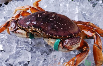 珍寶蟹多少錢一斤？珍寶蟹多少錢？