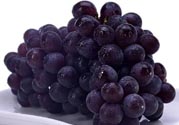玫瑰香葡萄營養(yǎng)價(jià)值 玫瑰香葡萄的功效與作用