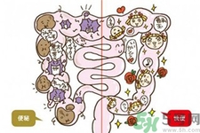 身體如何排毒？女性排毒養(yǎng)顏的食物有哪些？