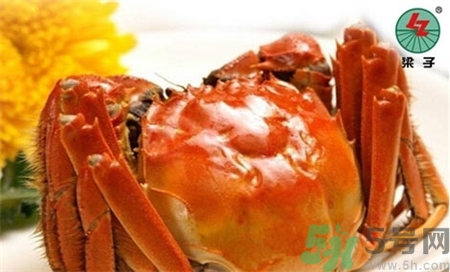 梁子湖大閘蟹什么時候上市?梁子湖大閘蟹幾月份有? 梁子湖大閘蟹什么時候上市?梁子湖大閘蟹幾月份有?