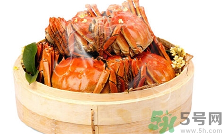 梁子湖大閘蟹什么時候上市?梁子湖大閘蟹幾月份有? 梁子湖大閘蟹什么時候上市?梁子湖大閘蟹幾月份有?